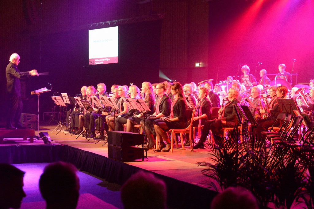 ../Images/Jubileumconcert 100 jaar Harpe Davids 078.jpg